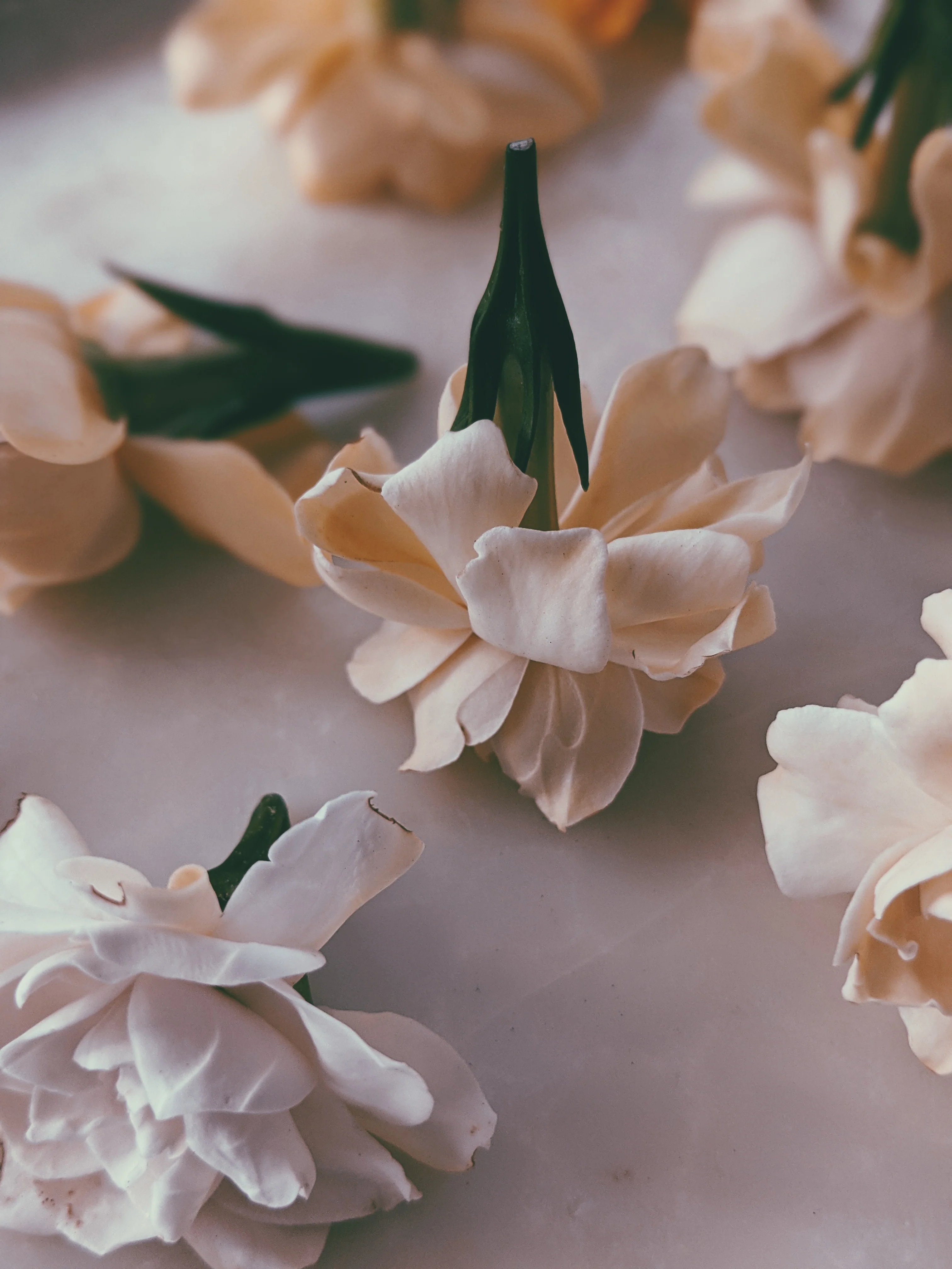 Gardenia and Aged Patchouli Enfleurage. - Image 4