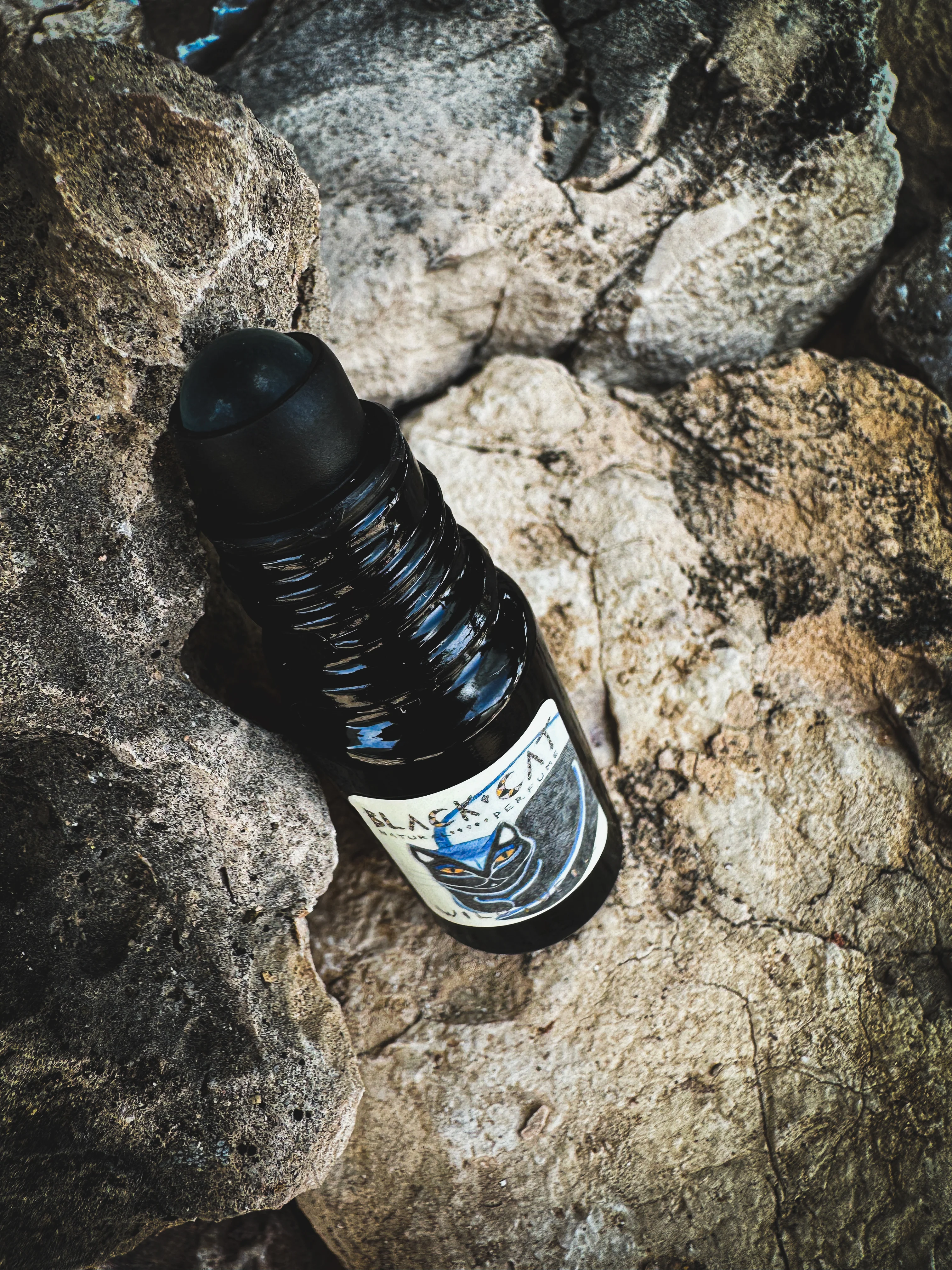 Black Cat. natural forest perfume. smoke, wild clove, lavender, frangipani, herbs, moss. February 2024 - Image 10