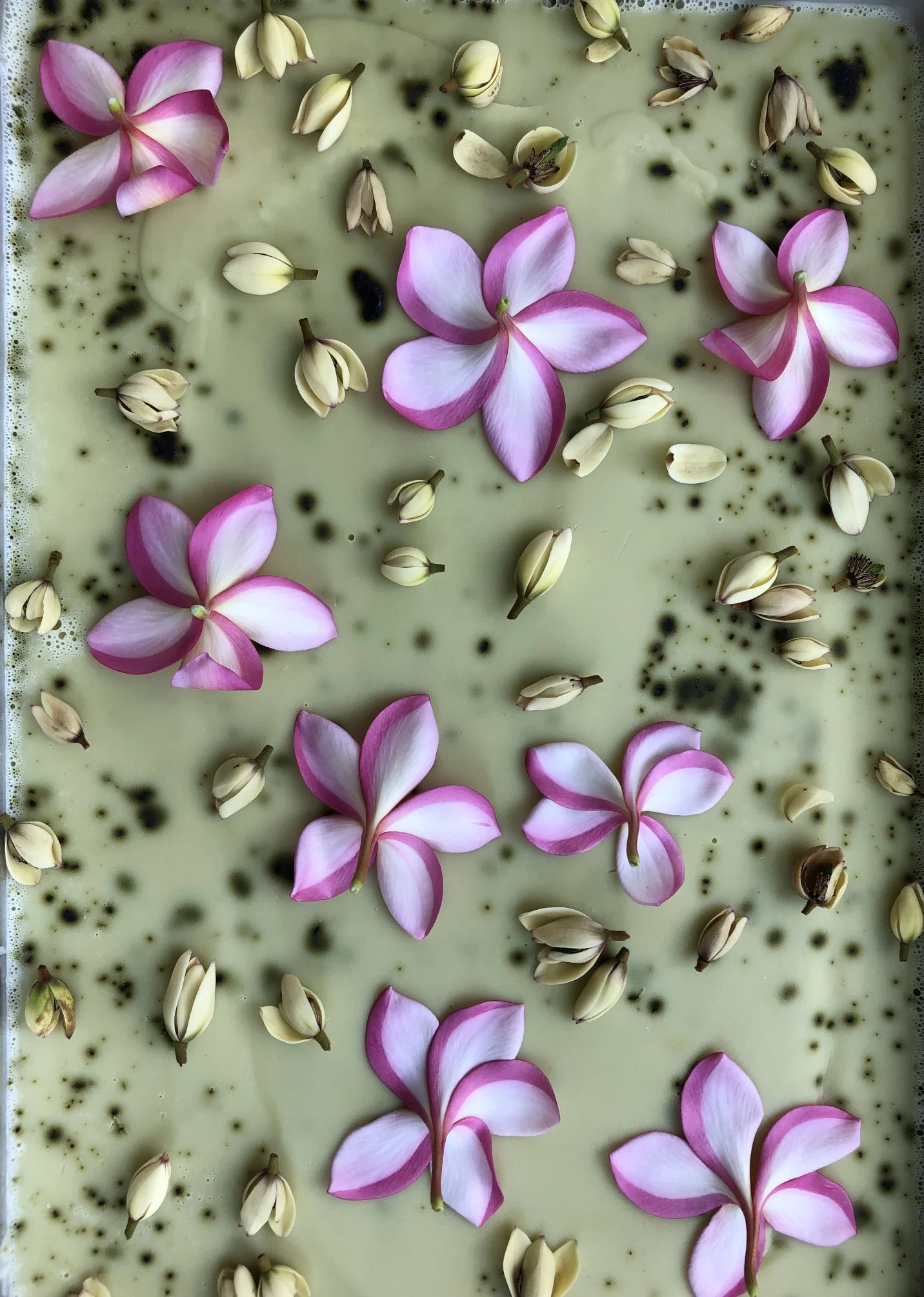 Plumeria, Banana Magnolia and Seogwang Tea Enfleurage. - Image 8