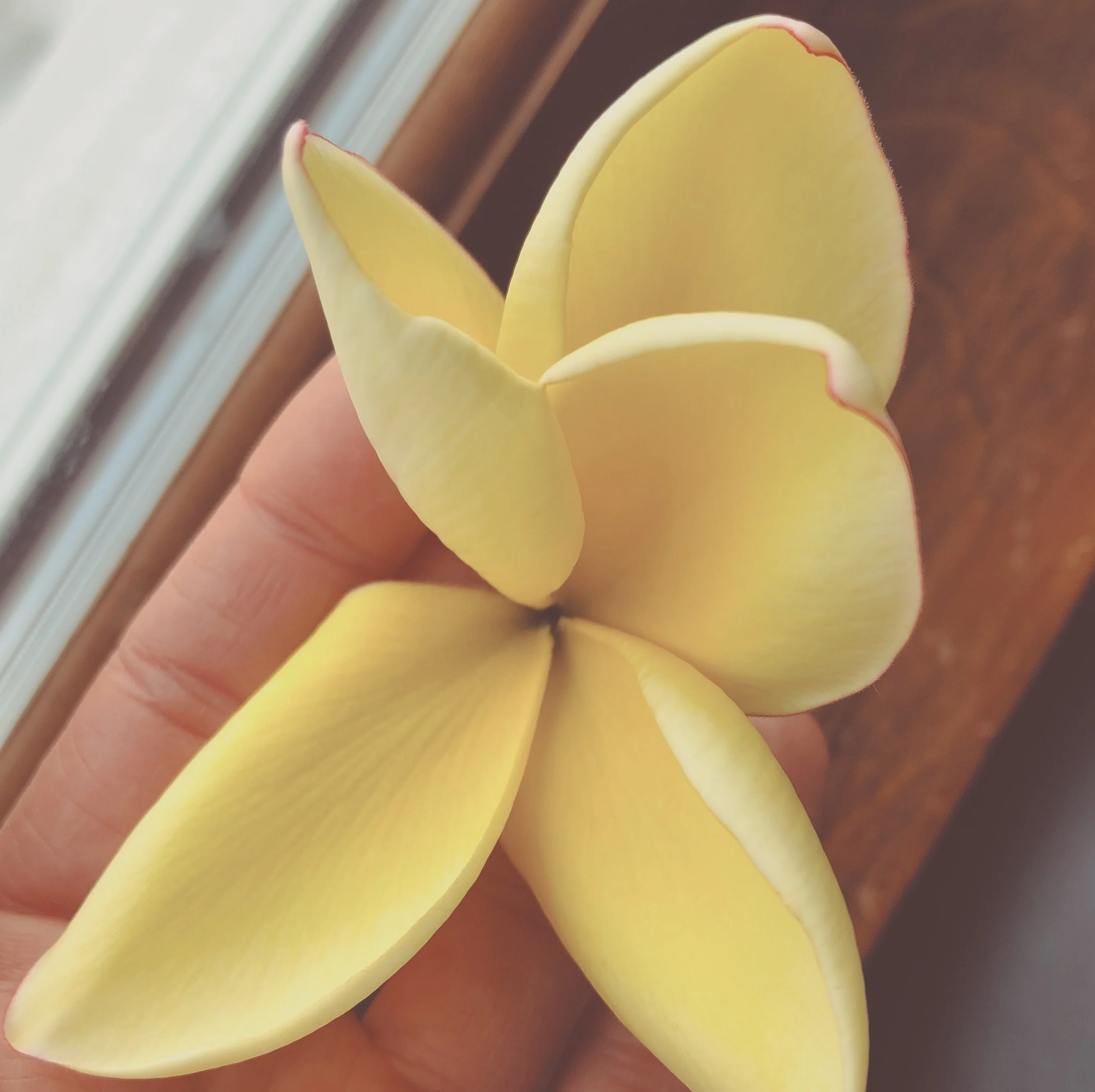 Plumeria Enfleurage. - Image 12
