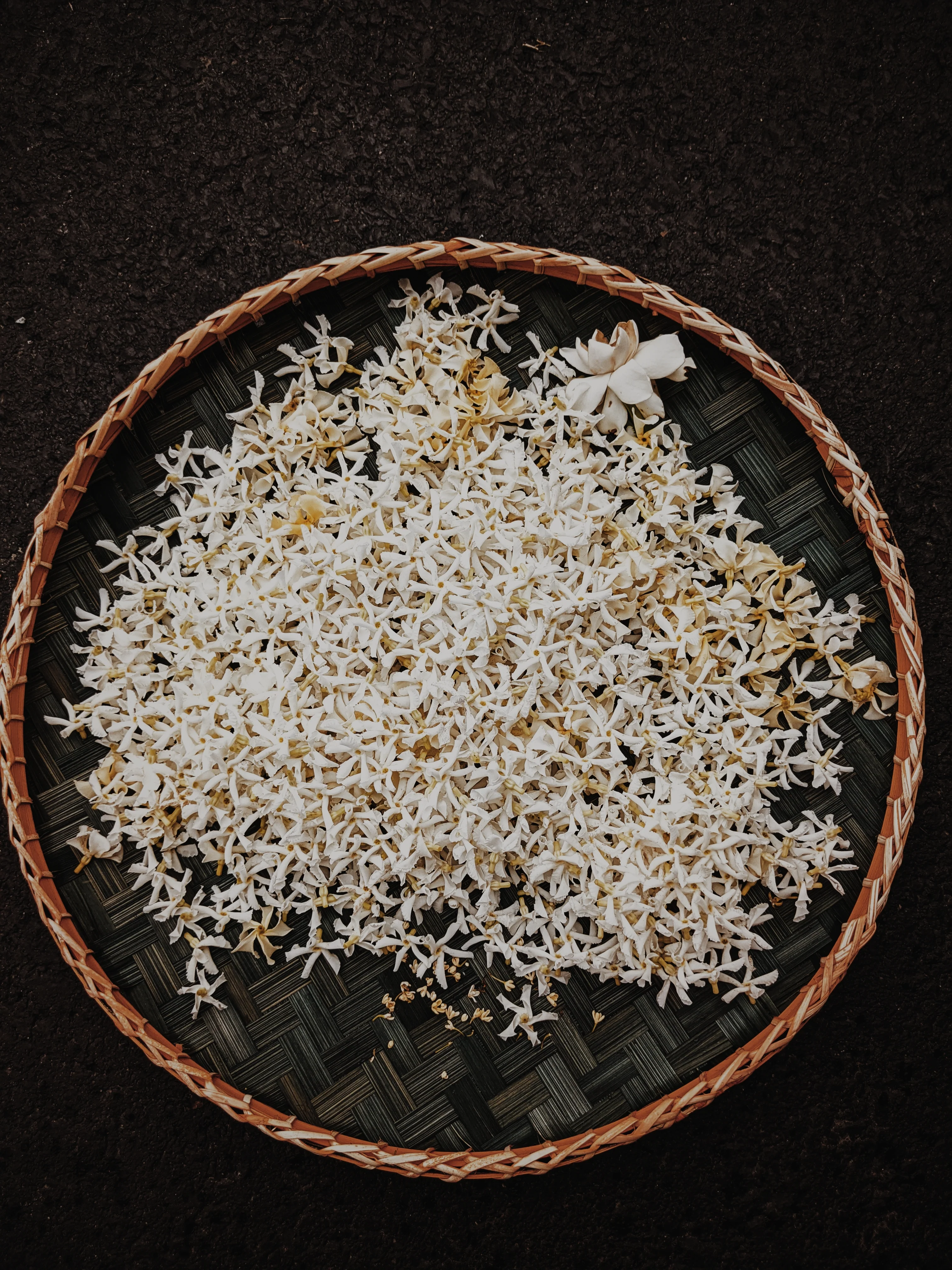 Liana (September 2017). Aged Star Jasmine Enfleurage Extrait. Organic Trachelospermum jasminoides perfume. Biodynamic - Image 6