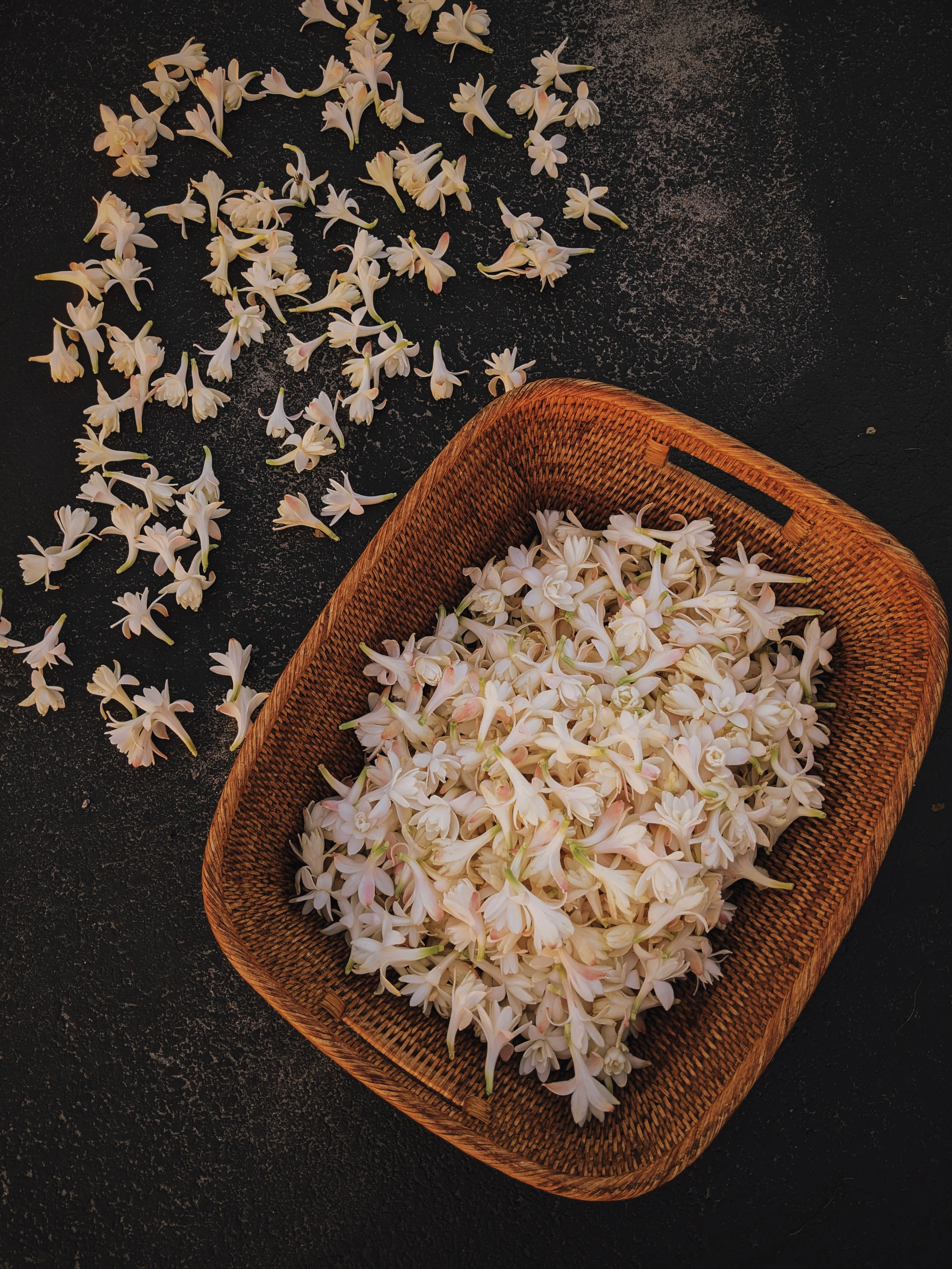 Tuberose Enfleurage. - Image 7